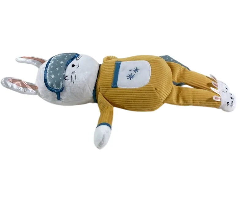 Fisher Price Hoppy Dreams Soother & Sleep Trainer