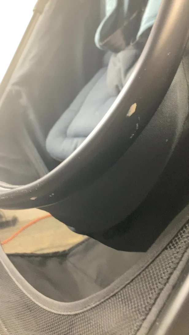 Maxi-Cosi Zelia Stroller Only, 2022, Northern Grey