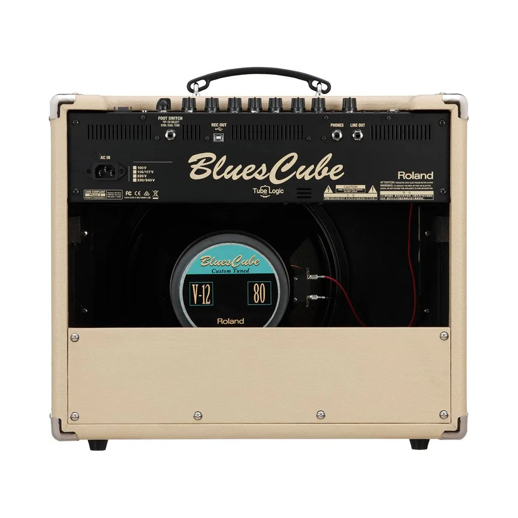 Roland Blues Cube Stage