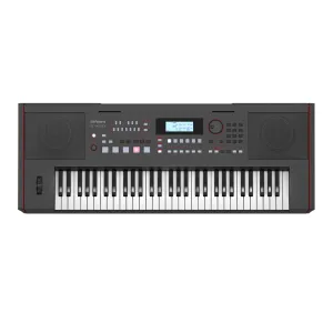 Roland E-X50 Arranger Keyboard