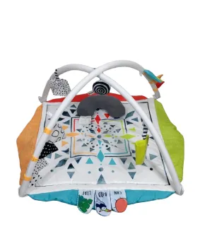 Sassy Hello Baby Milestone Play Gym
