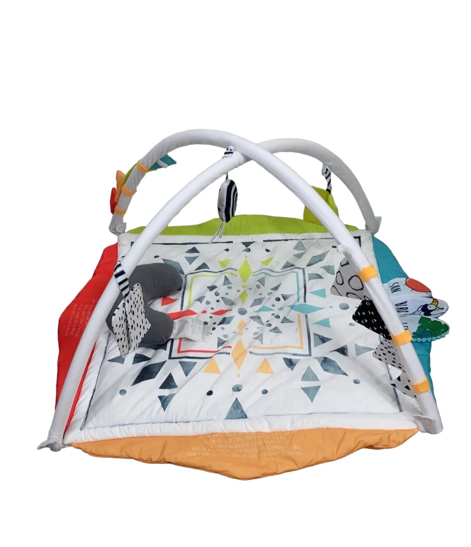 Sassy Hello Baby Milestone Play Gym