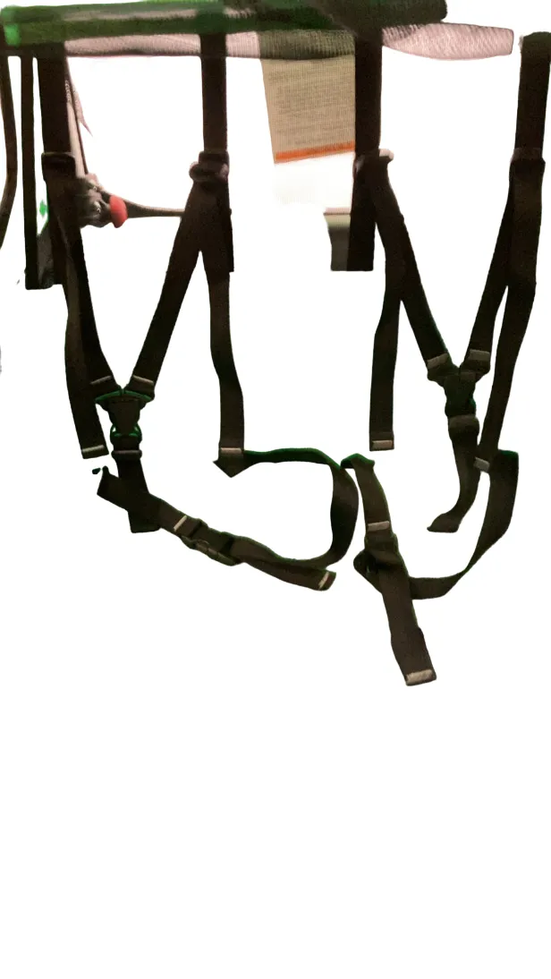 Thule Cadence Bike Trailer, 2021, Aluminum/Thule Green